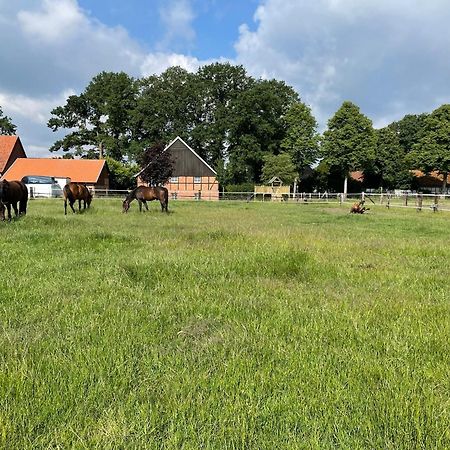 Landhaus Am Esch 워렌도르프 외부 사진