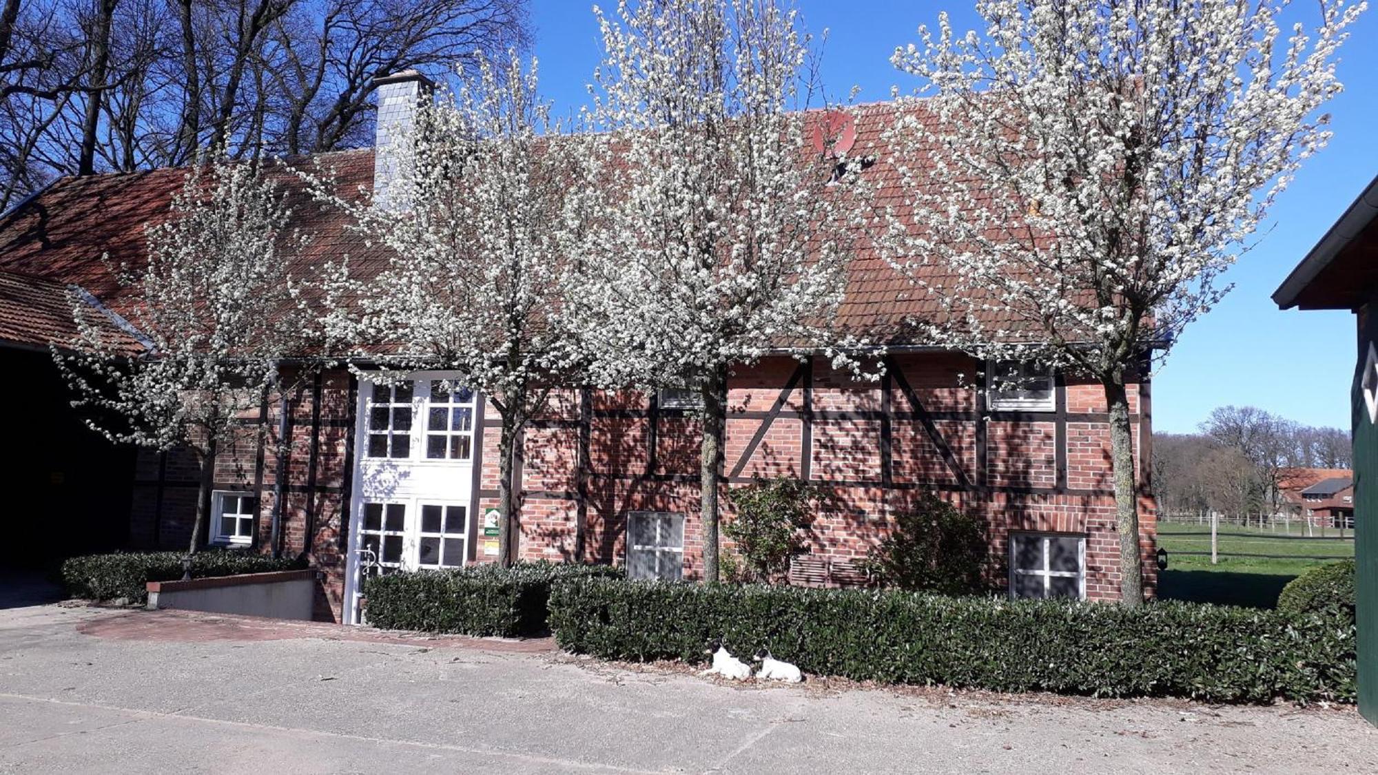 Landhaus Am Esch 워렌도르프 외부 사진