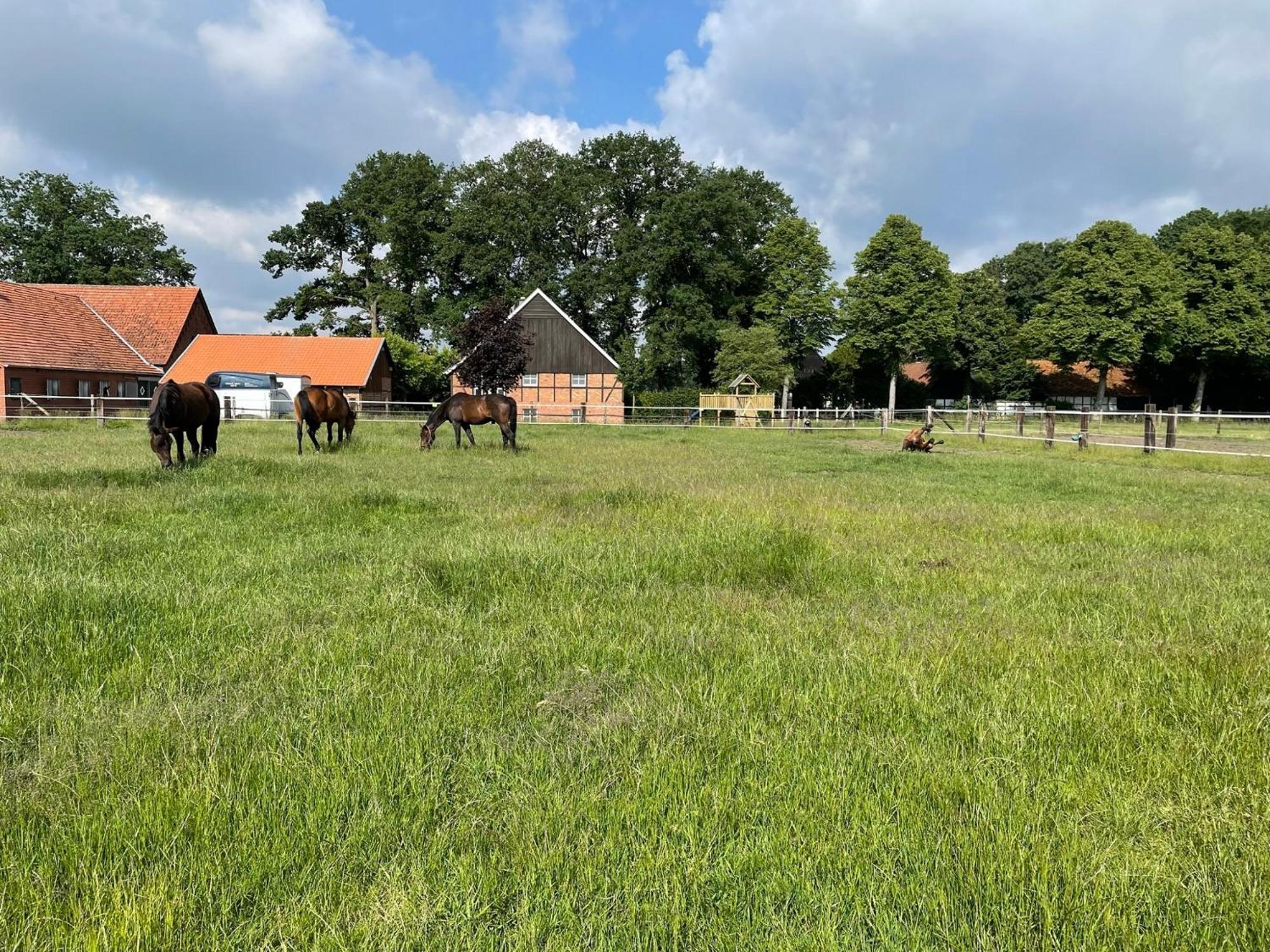 Landhaus Am Esch 워렌도르프 외부 사진